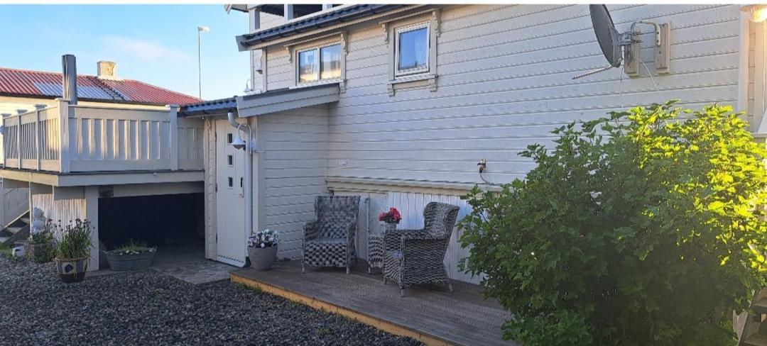 Sentral Studioleilighet Ved Stranden Og Hvalsenter Nb Ma Vaskes Etter Endt Leie Eller Betale Rengjoringshjelpen 500 Kr 安德内斯 外观 照片